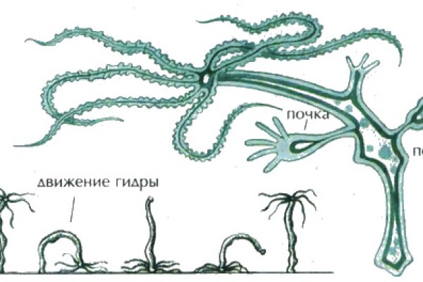 Зеркало для сайта мега